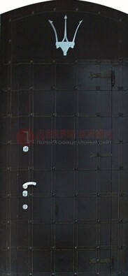 Металлическая арочная дверь ДА-22 высокого качества Кириши