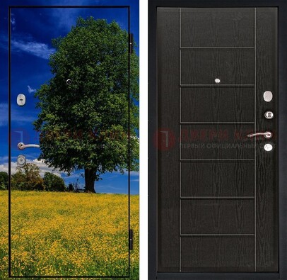 Железная дверь с фотопечатью дерева в поле ДФ-36 в Мурманске