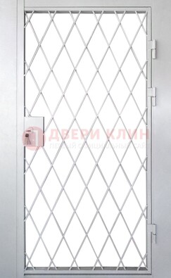 Стальная решетчатая дверь ДР-13 Кириши