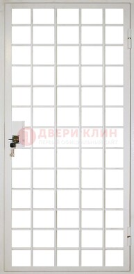 Белая металлическая решетчатая дверь ДР-2 Кириши